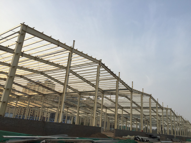 深州瑞豐動(dòng)力 五連跨車間 多跨鋼架
