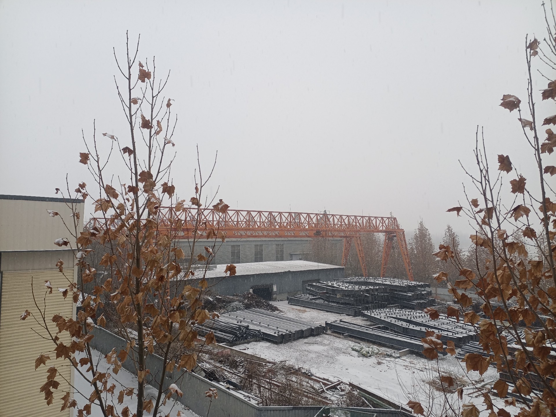 衡水鋼結(jié)構(gòu),衡水鋼結(jié)構(gòu)廠,衡水鋼結(jié)構(gòu)廠房,衡水鋼結(jié)構(gòu)廠家，衡水廠房車間加工，衡水鋼結(jié)構(gòu)--金鼎鋼構(gòu)廠雪景貨場